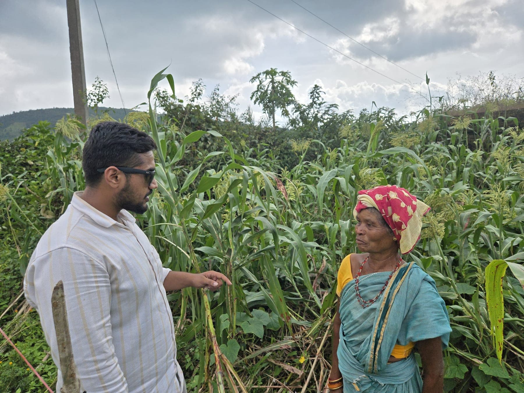 Pritesh Kumar Jena walking a standing crop with a producer