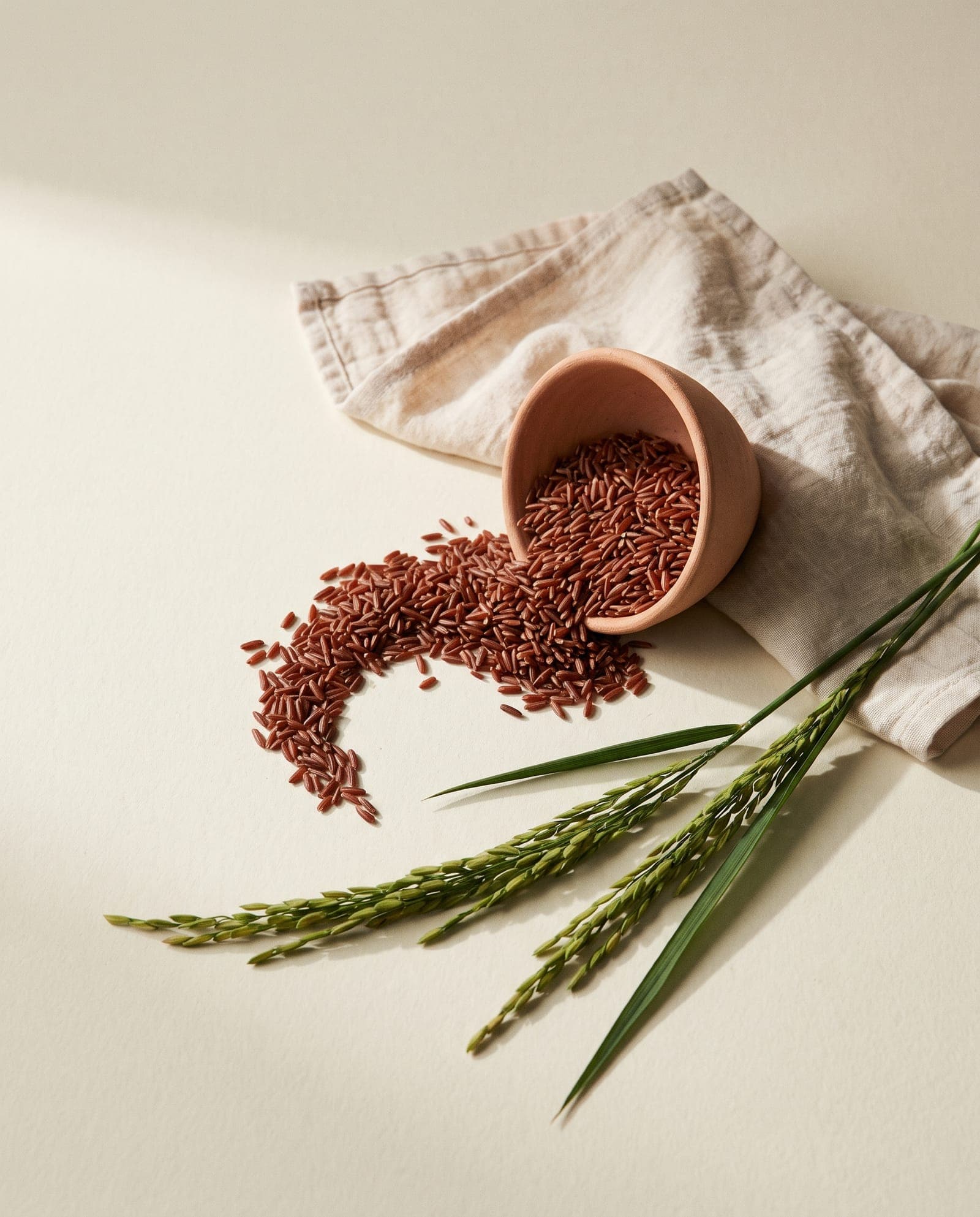 Indigenous red rice spilling from a terracotta bowl beside green rice panicles
